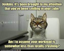 Search Results Work Lolcats N Funny Pictures Of Cats I Can Has Cheezburge Funny Cat Memes Office Cat Cats