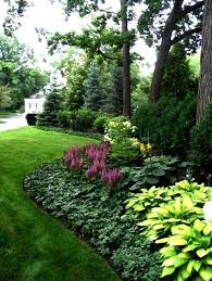Planting Under Trees Shade Garden Traditional Landscape Front Yard Landscaping