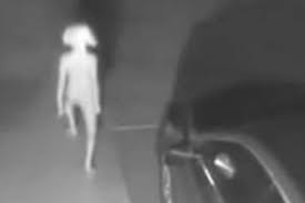 5 unbelievable signs of aliens caught on camera & spotted in real life! Has An Elf Or Alien Been Caught On Film Or Is This Just Another Hoax Stuff Co Nz