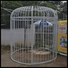 Membina kandang ayam mini di negara ini tidak begitu sukar. Super Large Wrought Iron Peacock Bird Cage Custom Wedding Decoration Props Bird Cage Display Outdoor Large Cage Bird Cages Nests Aliexpress