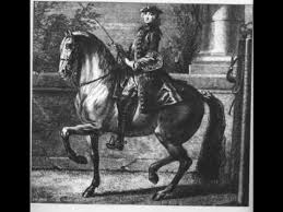 21, that he won't compete glock's undercover at the alltech fei world equestrian games. The Challenge Of The Piaffe Edward Gal And Undercover Unstoppable Part 2 Youtube