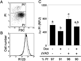 I am thinking the turn signal lever switch (or multi . Differential Regulation Of Doxorubicin Induced Mitochondrial Dysfunction And Apoptosis By Bcl 2 In Mammary Adenocarcinoma Mtln3 Cells Journal Of Biological Chemistry