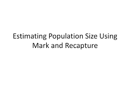 Estimating Population Size Using Mark And Recapture Ppt Download
