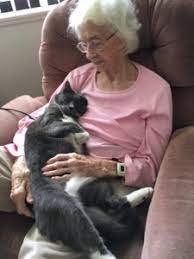 If breast cancer can be detected at an early stage, it can save women life. Thoughts For Thursday Cats That Detect Illness In Humans Catscapades