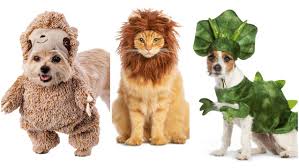 Let your rowdy teenager get in touch with their wild side with one of our roaring animal costumes this halloween! Dog And Cat Halloween Costumes Most Popular For 2019