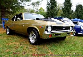 Image result for Autumn Gold 1962 Nova