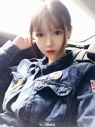 sina visitor system girl