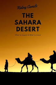 Not many people are brave enough to explore the region and even fewer are brave enough to explore it from twenty feet beneath the ice! Riding Camels In Morocco Our Night In The Sahara Morocco Travel Morocco Riding