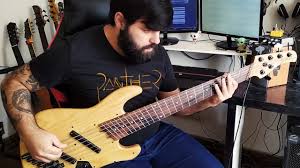 Pain Of Salvation Accelerator Bass Cover Youtube