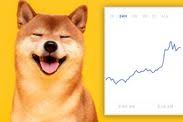 Will dogecoin ever reach $1000 mark? Dogecoin Price Prediction Can You Make Money On Dogecoin City Business Finance Express Co Uk