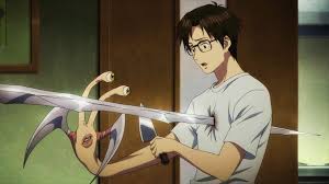 The maxim is a netflix original anime series based on the manga book of the same name by author hitoshi iwaaki. Parasyte The Maxim Season 2 Release Date Cast Plot And Others