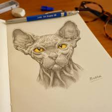 Cat S Meow Art Supplies Gift Sketch Book Pencil Drawings