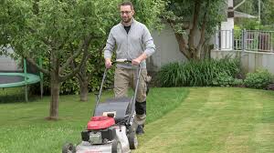 Sogar im herbst spricht der boden noch gut auf eine solchen behandlung an. Rasen Vertikutieren So Geht S Richtig Mein Schoner Garten