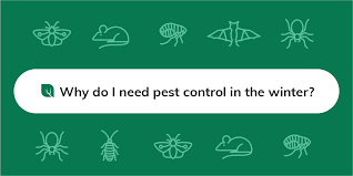 As a pest control operation, it's imperative that you have a specialized pest control insurance program. 8 Tips For Winter Pest Control Why You Need Them Insight Pest