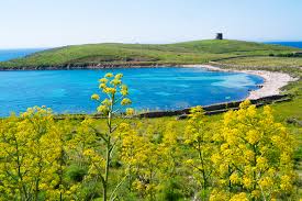 However, most people think that the name of this small island was given due to a large number of white donkeys (in italian asino) living there. Parco Nazionale Dell Asinara Sardegnaturismo Sito Ufficiale Del Turismo Della Regione Sardegna