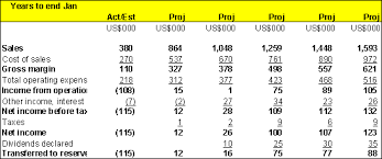 Business Plan Software Guide Financial Projections