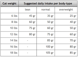 How Much Does A Scottish Fold Weight Scottish Fold Cats