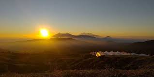 Kebun teh nirmala yang ditata sedemikian rupa sehingga menampilkan pemandangan alam yang indah nan eksotis. Pesona Desa Wisata Malasari Di Nanggung Kabupaten Bogor