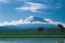 Find & download the most popular indonesia landscape photos on freepik free for commercial use high quality images over 7 million stock photos. Indonesia Facts People And Points Of Interest Britannica