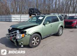 Image result for Kiwi Green 2010 Escape