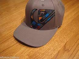 Daily Limit Exceeded Flexfit Ash Grey Hats