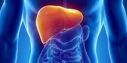 Hal ini akan diperparah dengan bakteri yang. 7 Obat Penyakit Liver Tradisional Dan Alami Bisa Dicoba Di Rumah Merdeka Com