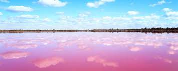 Wir entdecken einen pinken see und genießen unsere letzte nacht im auto. Pink Lakes Rosa Seen Gibt Es Nicht Nur Im Marchen Urlaubsguru