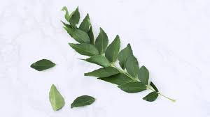 If you are someone who loves cooking, then you must. Curry Leaves Stalk S Southeast Asian Ingredients Nyonya Cooking