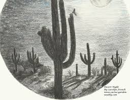 Actually, i heard similar question like this somewhere before. Cactus Garden The Sonoran Desert With Child Friendly Facts Home