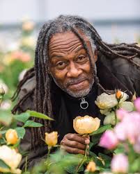 Deep peach buds that pale into soft apricot blooms, complimented by a zesty  lemon scent with notes of lychees and fresh apricots. Dannahue (Ausa6b15),  takes the birth name of Danny Clarke 'The