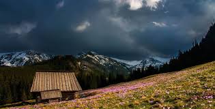 Palomar mountain offers camping, hiking, stargazing and other outdoor adventures in a rugged alpine landscape that contrasts starkly with the mediterranean climate found at lower altitudes nearby. Camping In A Thunderstorm How To Protect Yourself From Lightning