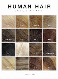 Brown Hair Colour Online Charts Collection