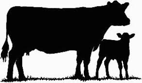 Cow With Calf Vinyl Decal 28873 Jpg 300 176 Silhouette Clip Art Silhouette Painting Animal Silhouette