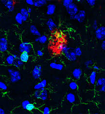 Delovelyslut Nude Leaks- Leaked Models- Unseen Footage