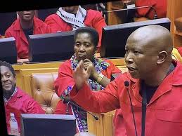 Find and save commissar memes | from instagram, facebook, tumblr, twitter & more. L E S E D I On Twitter We All Deserve Someone Who Looks At Us The Way Ndlozi Looks At Malema