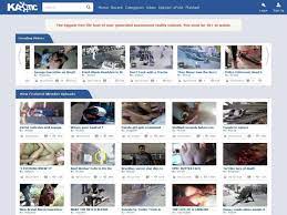 Kaotik videos