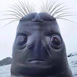 En ese momento, guillermo acusó a la actriz de ser celosa y de secuestrar a sus hijos, aunque finalmente aceptó que la golpeaba. Liliana Ruiz Facebook Twitter Myspace On Peekyou