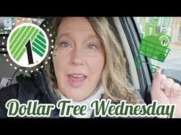 Dollar Tree Wednesday Shop With & Small Haul