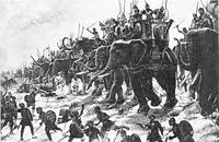 A chieftain contacted ali to settle the matter. Camel Cavalry Wikipedia