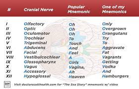 Looking Up Ways To Remember The 12 Cranial Nerves Google Gives Me This Student Cranial Nerves Mnemonic Nursing School Survival Medical School Studying