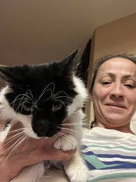 Cat crinkle sack worth the 6.99 price