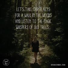 Let S Take Our Hearts For A Walk In The Woods And Listen To The Magic Whispers Of Old Trees Spiritnes Nature Quotes Nature Quotes Trees Into The Woods Quotes