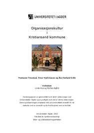 Januar 2020 vart songdalen, søgne, og kristiansand kommunar slege saman. Aura Organisasjonskultur I Kristiansand Kommune