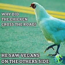 Revolutionhasbegun Instagram Photos And Videos Vegan Humor Vegan Quotes Vegan Facts