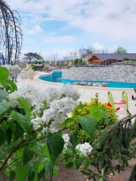 Curtea este amenajata cu locuri de parcare si spatii de recreere (piscina, sezlonguri, iaz cu pesti, 2 cascade. Hotel Casa Ani Hotel Casa Ani Eforie Nord RezervÄƒri La Facebook