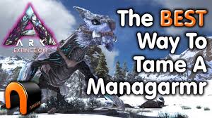 Steam Community Video Ark Extinction How To Tame A Managarmr The Best Way Survival evolved, the managarmr eats exceptional kibble, raw mutton, raw prime meat, cooked lamb chop. ark extinction how to tame a managarmr