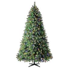 Store has everything you need.and even. Home Accents Holiday 7 5 Ft Wesley Long Needle Pine Led Pre Lit Artificial Christmas Tree With 550 Color Changing Mini Lights Tg76m3baqd00 The Home Depot