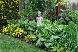 Harvesting heirloom tomatoes, lettuce, kale, beets, broccoli and more in a garden in los angeles. Edible Garden Design Los Angeles