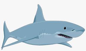Check spelling or type a new query. Shark Clipart Cartoon Great White Shark Png Image Transparent Png Free Download On Seekpng
