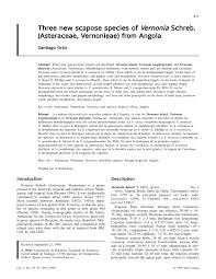 Image result for Vernonia gerberiformis